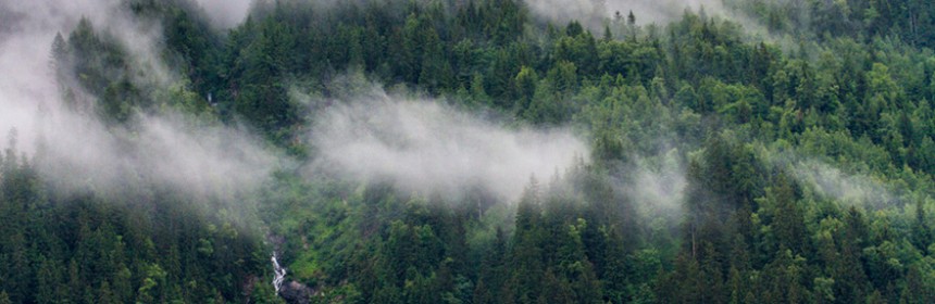 Vue