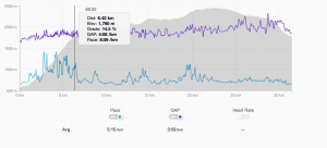Exemple sur la Sierre Zinal d'un certain Sage Canaday : une moyenne ramené à 3'59/km sur plat (pour un record sur marathon à 2h16'52" c'est pas mal)