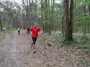 En pleine foret !