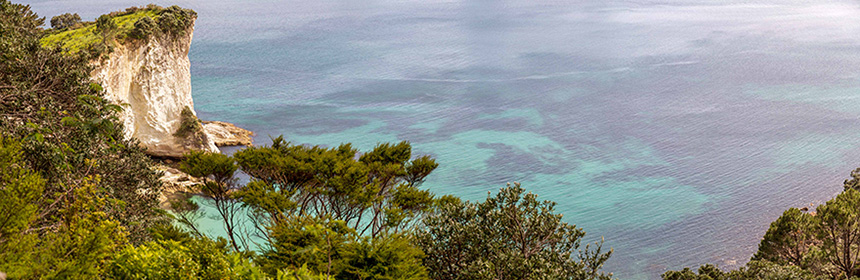 Coromandel et Mount Maunganui