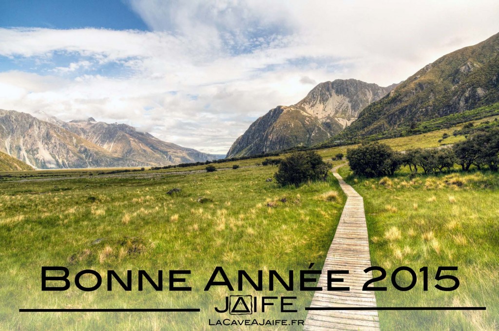 voeux2015