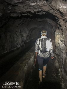 IMG_6503