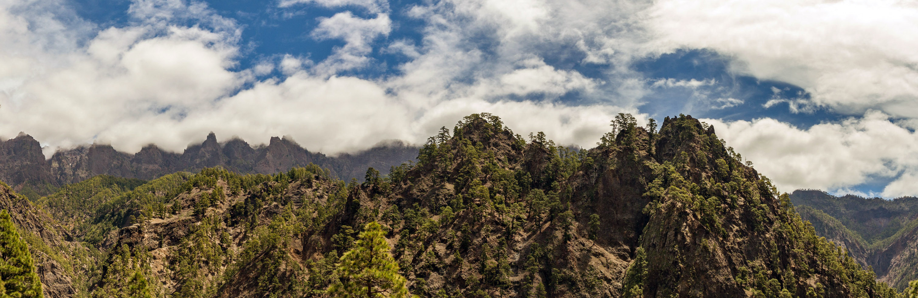 Le côté forestier de la Palma