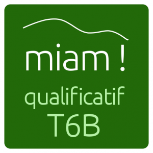 logo_twitter_qualificatif