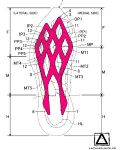[Brevet] Mizuno : 2 semelles avec une plaque ! 6