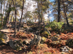 Pourquoi je n'irai plus courir aux 25 bosses ! 2