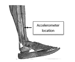Teeter Totter : l'effet qui ferait avancer les super shoes avec une plaque carbone 4