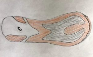 Teeter Totter : l'effet qui ferait avancer les super shoes avec une plaque carbone 12